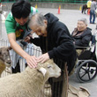 ふれあい動物交流会