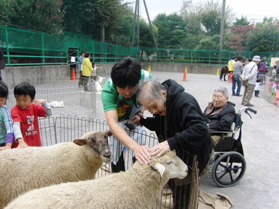 ふれあい動物交流会